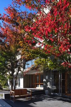  East side walk and shops front 